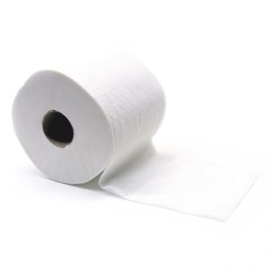 2 Ply Toilet Paper – 48 Rolls